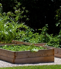 Garden to Glass Event at Jordana Brewster’s Mandeville Home | Teryl Designs Landscaping