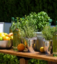 Garden to Glass Event at Jordana Brewster’s Mandeville Home | Teryl Designs Landscaping