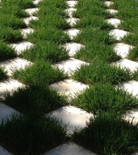 grass-patio