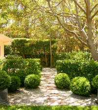 Los Angeles Landscape Design