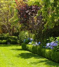 Brentwood Landscaping