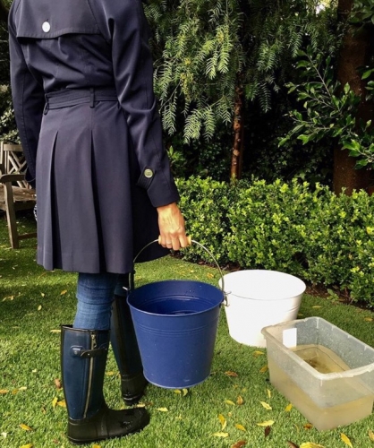Earth Day Design Tips for Water Conscious Gardening - Los Angeles, California