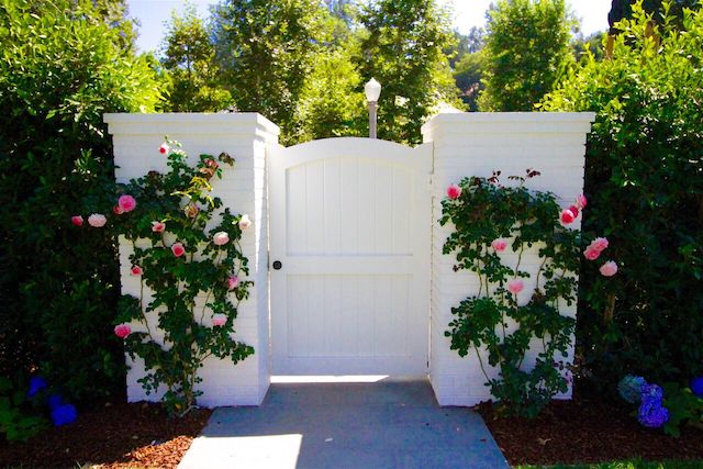 roses at gate entrance