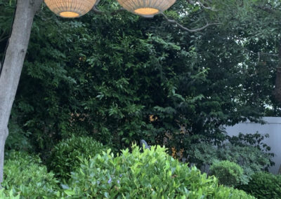 hanging lanterns above bushes