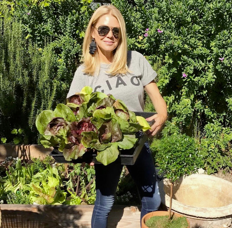 Teryl-Ciarlo-Landscape-Designer-in-Los-Angeles Teryl Ciarlo landscape designer in los angeles